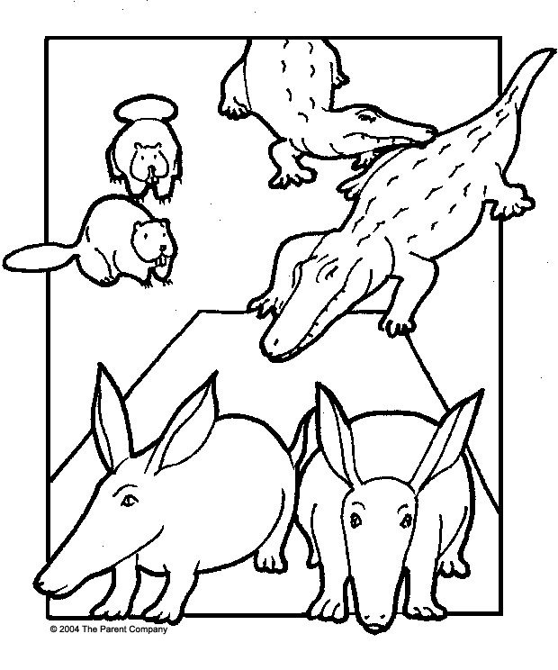 The Aardvark in the Ark - Coloring Book
